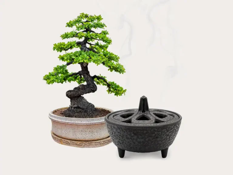 Pure Flow Reiki Recommended Decor