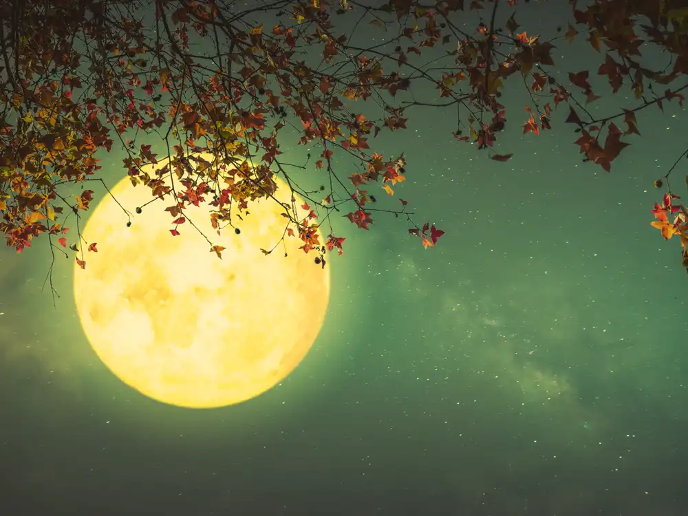 Reiki and the Moon: How Lunar Cycles Can Enhance Your Healing Sessions